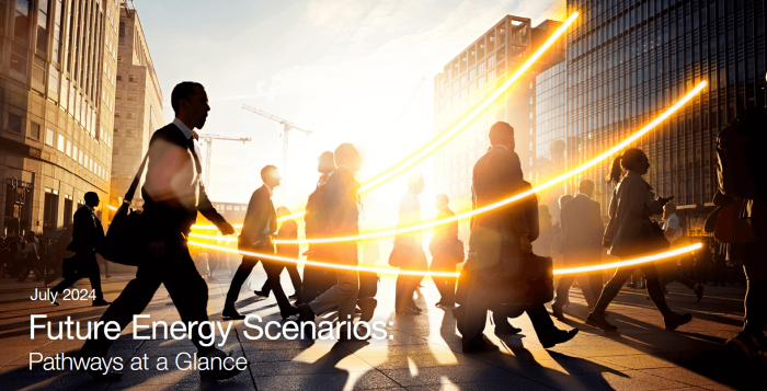 Future Energy Scenarios Pathways at a Glance 